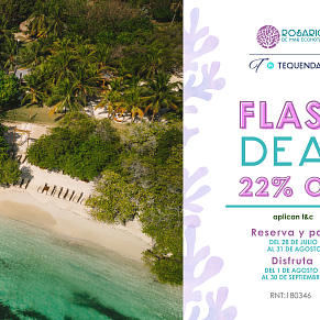 Promocion FLASH DEAL 22% OFF descuento