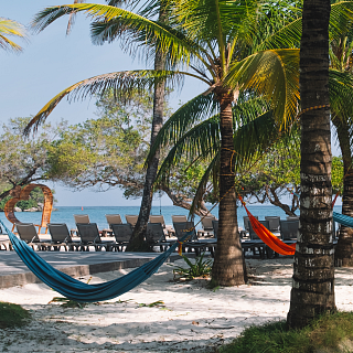 Paraíso caribeño: Hamacas coloridas entre palmeras en la playa Zona de descanso con hamacas de colores bajo palmeras en resort de playa caribeña, con arena blanca, tumbonas y mar tranquilo, ideal para vacaciones