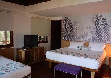 Habitación estándar plus