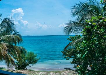 Caminatas ecológicas