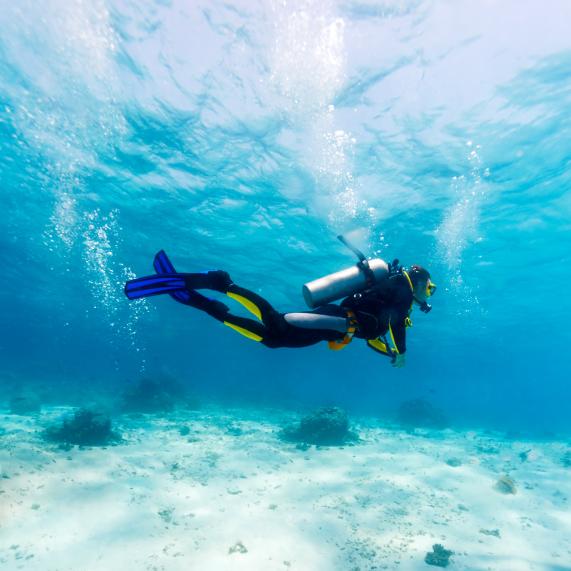 Submarinismo Submarinismo y snorkel