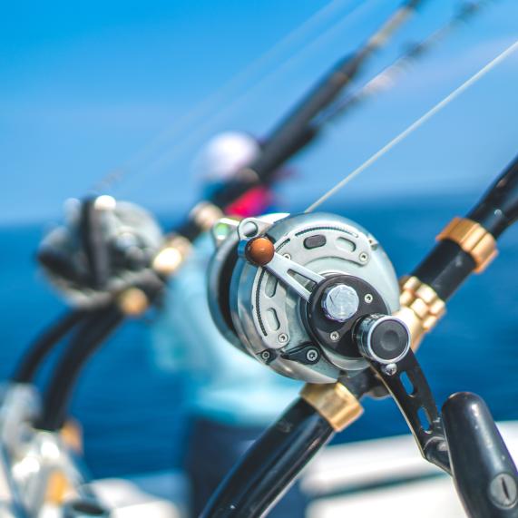 Pesca deportiva Pesca deportiva