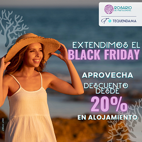 “BLACK FRIDAY EXTENSIÓN”