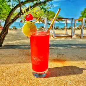 Advance payment 30 days