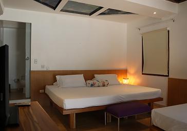 Habitación estándar plus