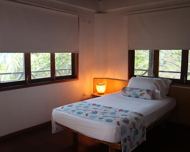 Habitación estándar plus