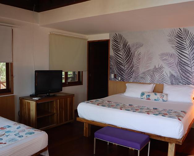 Habitación estándar plus