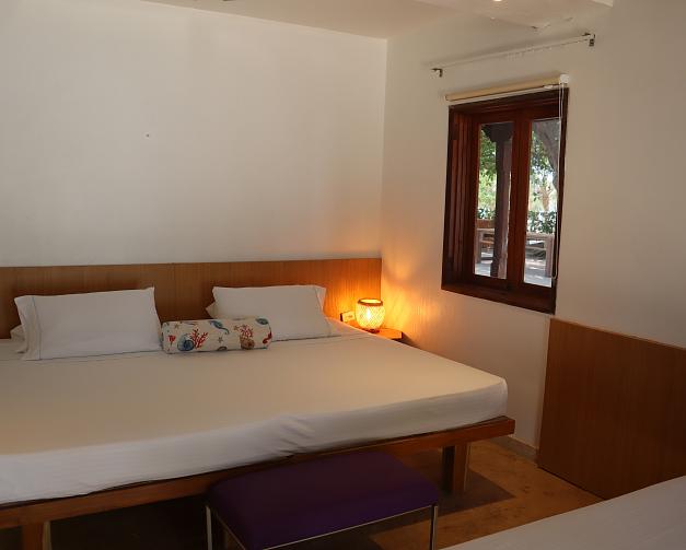 Habitación estándar plus